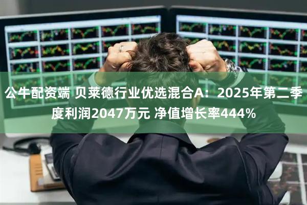公牛配资端 贝莱德行业优选混合A：2025年第二季度利润2047万元 净值增长率444%