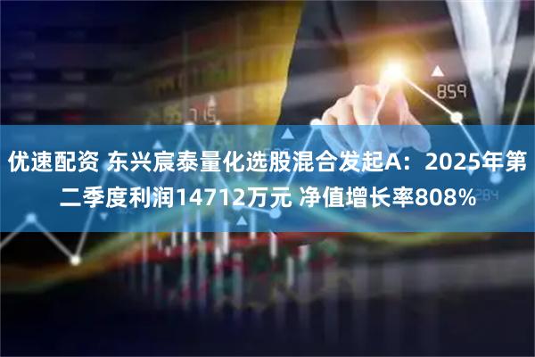 优速配资 东兴宸泰量化选股混合发起A：2025年第二季度利润14712万元 净值增长率808%