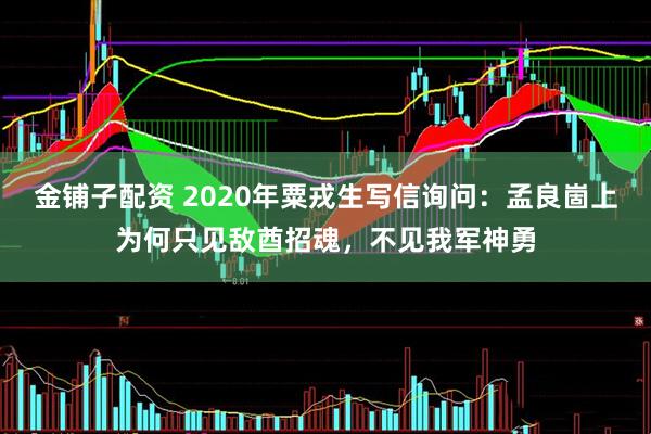 金铺子配资 2020年粟戎生写信询问：孟良崮上为何只见敌酋招魂，不见我军神勇