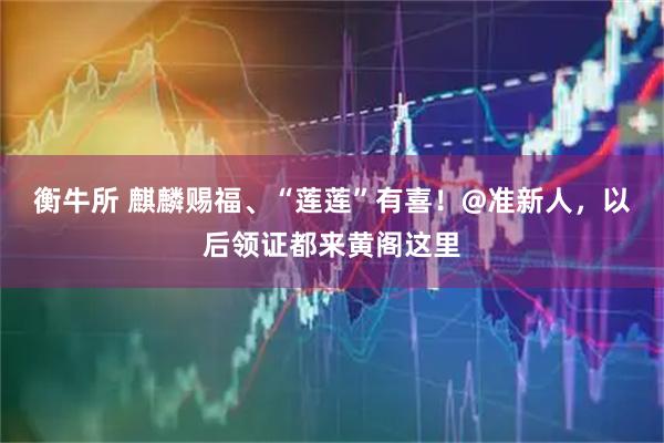衡牛所 麒麟赐福、“莲莲”有喜！@准新人，以后领证都来黄阁这里