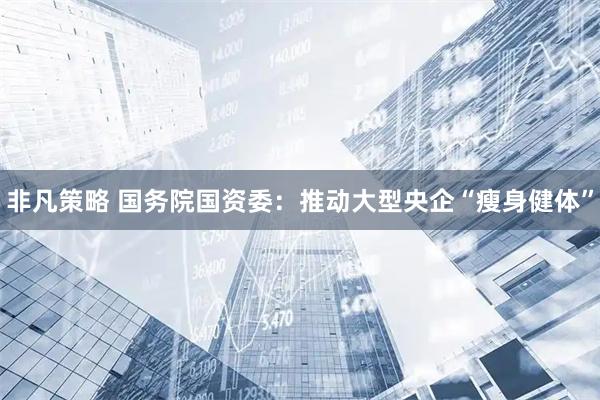 非凡策略 国务院国资委：推动大型央企“瘦身健体”